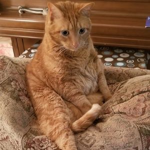 Meet your Posher, Judith